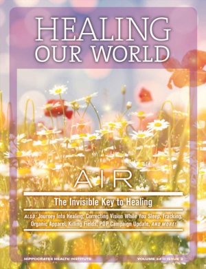 Air - The Invisible Key to Healing