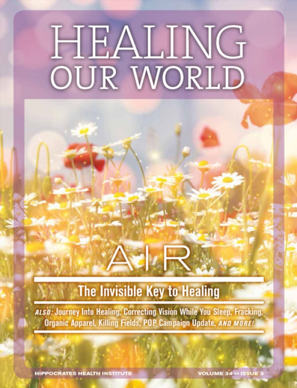 Air - The Invisible Key to Healing